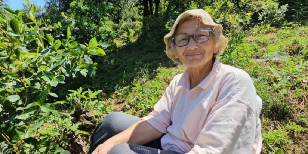 Yıllarca çalıştı, tüm birikimini ona harcadı! ‘Mavi yemiş’ deniyor, bilen havada kapıyor: Yılda 500 KG hasat yapıyor 3